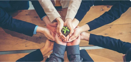 Mani di un gruppo di persone sostengono una pianta